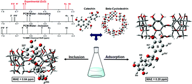 Graphical abstract: Quantum chemical investigation of beta-CD–catechin flavonoid encapsulation in solution through NMR analysis: an adequate controlled drug-delivery system