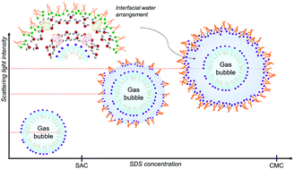 Graphical abstract: Evidence of surfactant sub-monolayer adsorption at the air/water interface provided by laser scattering measurements of ultrafine gas bubbles