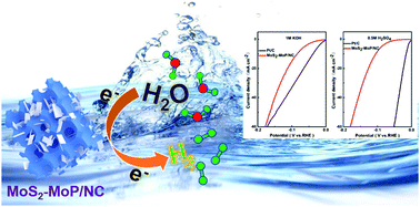 Graphical abstract: Distinctive MoS2-MoP nanosheet structures anchored on N-doped porous carbon support as a catalyst to enhance the electrochemical hydrogen production