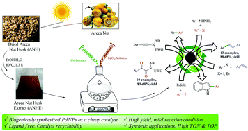 Graphical abstract: Biogenic synthesis of Pd-nanoparticles using Areca Nut Husk Extract: a greener approach to access α-keto imides and stilbenes