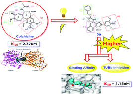 Graphical abstract: Design and synthesis of a new series of 3,5-disubstituted-1,2,4-oxadiazoles as potential colchicine binding site inhibitors: antiproliferative activity, molecular docking, and SAR studies