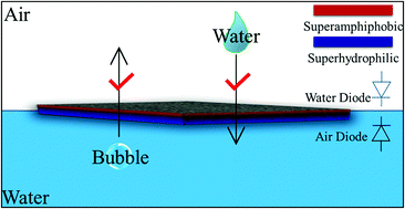 Graphical abstract: Smart Janus titanium mesh used as a diode for both liquid droplet and air bubble transport