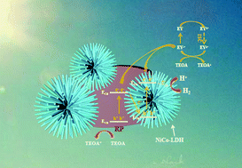 Graphical abstract: Novel S-scheme RP/NiCo-LDH composite with remarkably enhanced photocatalytic activity for H2 evolution under visible-light irradiation