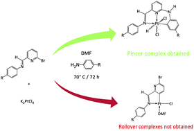 Graphical abstract: A serendipitous self-assembly synthesis of CNN–Pt pincer complexes