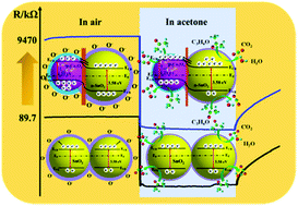 Graphical abstract: Bimetallic organic framework-derived SnO2/Co3O4 heterojunctions for highly sensitive acetone sensors