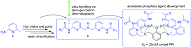 Graphical abstract: Efficient synthesis of 6,6′-diamido-2,2′-dipicolylamine ligands for potential phosphate anion sensing