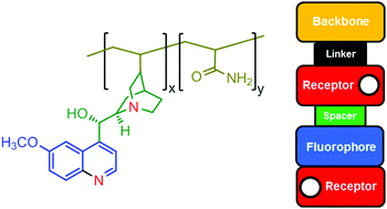 Graphical abstract: A fluorescent polymeric INHIBIT logic gate based on the natural product quinidine