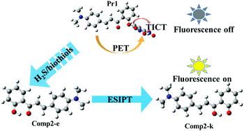 Graphical abstract: Theoretical study on the sensing mechanism of chalcone-based fluorescence probe for detecting hydrogen sulfide and biothiols