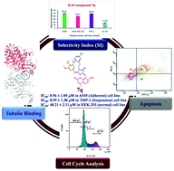 Graphical abstract: Targeting tubulin polymerization and DNA binding of 4-thiazolidinone–umbelliferone hybrids: synthesis and cytotoxicity evaluation