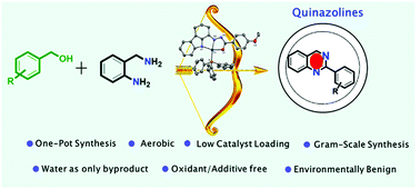 Graphical abstract: Palladium(ii) N,N,O-pincer type complex-mediated dehydrogenative coupling of alcohols to quinazolines