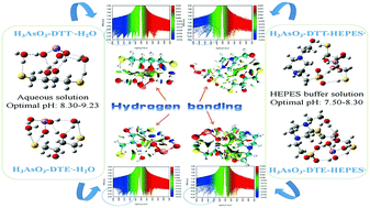 Graphical abstract: Hydrogen bonding interactions between arsenious acid and dithiothreitol/dithioerythritol at different pH values: a computational study with an explicit solvent model