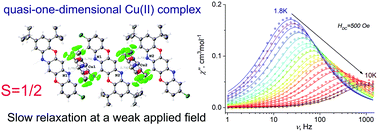 Graphical abstract: Field supported slow magnetic relaxation in a quasi-one-dimensional copper(ii) complex with a pentaheterocyclic triphenodioxazine