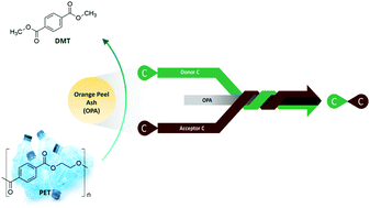 Graphical abstract: Biomass waste-derived recyclable heterogeneous catalyst for aqueous aldol reaction and depolymerization of PET waste