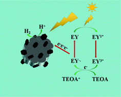 Graphical abstract: Hexagonal 2D NiCo-LDO supported on 0D CoWO4 to construct a p–n heterojunction for efficient photocatalytic hydrogen evolution