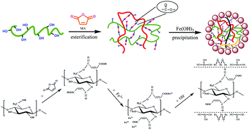 Graphical abstract: Co-modification of lignocellulosic biomass by maleic anhydride and ferric hydroxide for the highly efficient biosorption of methylene blue