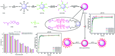 Graphical abstract: pH-Sensitive silica-based core–shell nanogel prepared via RAFT polymerization: investigation of the core size effect on the release profile of doxorubicin