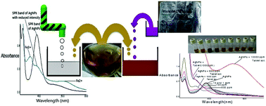 Graphical abstract: Salicylazine activated plasmonic silver nanoprisms for identification of Fe(ii) and Fe(iii) from aqueous solutions