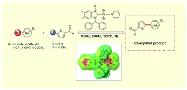 Graphical abstract: Synthesis, structures, DFT calculations, and catalytic application in the direct arylation of five-membered heteroarenes with aryl bromides of novel palladium-N-heterocyclic carbene PEPPSI-type complexes
