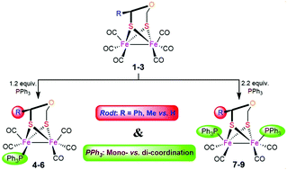 Graphical abstract: Phosphine-substituted diiron complexes Fe2(μ-Rodt)(CO)6−n(PPh3)n (R = Ph, Me, H and n = 1, 2) featuring desymmetrized oxadithiolate bridges: structures, protonation, and electrocatalysis