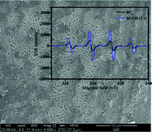 Graphical abstract: High-efficiency electro-catalytic performance of green dill biochar cathode and its application in electro-Fenton process for the degradation of pollutants