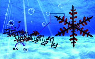 Graphical abstract: In situ growth of metal-free snowflake-like 1D/2D phosphorus element heterostructures for photocatalytic overall pure-water splitting