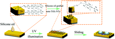 Graphical abstract: Stable and biocompatible slippery lubricant-infused anode-oxidated titanium nanotube surfaces via a grafted polydimethylsiloxane brush