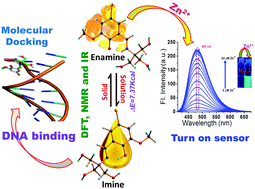 Graphical abstract: Combined theoretical and experimental investigation of a DNA interactive poly-hydroxyl enamine tautomer exhibiting “turn on” sensing for Zn2+ in pseudo-aqueous medium
