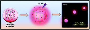 Graphical abstract: Ethidium bromide-bridged mesoporous silica hybrid nanocarriers for fluorescence cell imaging and drug delivery applications