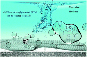 Graphical abstract: The effect of regional selectivity on the corrosion inhibition properties of synthetic ionic liquid via the synergistic action of the cation and anion