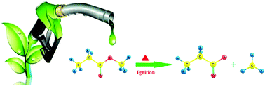 Graphical abstract: A W1 computational study on the kinetics of initial pyrolysis of a biodiesel model: methyl propanoate