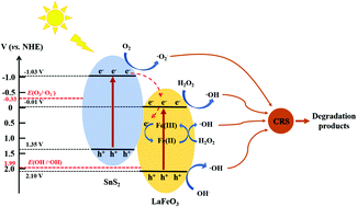 Graphical abstract: Visible-light-driven photo-Fenton degradation of ceftriaxone sodium using SnS2/LaFeO3 composite photocatalysts