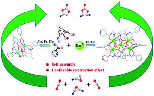 Graphical abstract: Radii-dependent self-assembly polynuclear lanthanide complexes as catalysts for CO2 transformation into cyclic carbonates