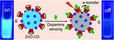 Graphical abstract: β-Cyclodextrin-capped ZnO-doped carbon dot as an advanced fluorescent probe for selective detection of dopamine