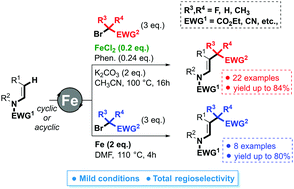 Graphical abstract: Iron catalyzed β-C(sp2)–H alkylation of enamides