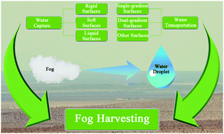 Graphical abstract: Recent advances in biomimetic surfaces inspired by creatures for fog harvesting
