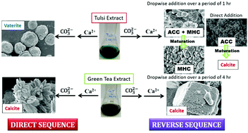 Graphical abstract: Modulation of the CaCO3 phase and morphology by tuning the sequence of addition: an insight into the formation of monohydrocalcite