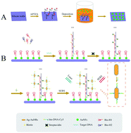 Graphical abstract: Highly sensitive SERS assay of genetically modified organisms in maize via a nanoflower substrate coupled with hybridization chain reaction amplification