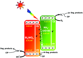 Graphical abstract: Amine-functionalized metal–organic framework integrated bismuth tungstate (Bi2WO6/NH2-UiO-66) composite for the enhanced solar-driven photocatalytic degradation of ciprofloxacin molecules