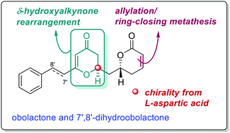 Graphical abstract: Stereoselective total synthesis of obolactones and 7′,8′-dihydroobolactones