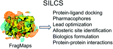 Graphical abstract: Application of site-identification by ligand competitive saturation in computer-aided drug design