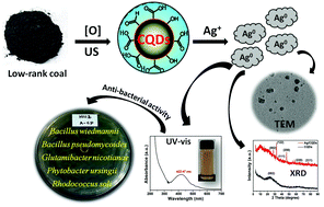 Graphical abstract: A novel rapid synthesis of highly stable silver nanoparticle/carbon quantum dot nanocomposites derived from low-grade coal feedstock