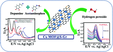 Graphical abstract: Metal–organic framework functionalized sulphur doped graphene: a promising platform for selective and sensitive electrochemical sensing of acetaminophen, dopamine and H2O2