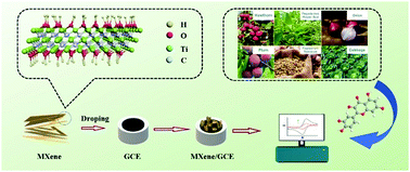 Graphical abstract: Fabrication of a Ti3C2Tx modified glassy carbon electrode for the sensitive electrochemical detection of quercetin