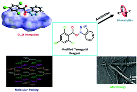 Graphical abstract: Crystal structure of 1-(2,4,6-trichlorobenzoyloxy) benzotriazole (TCB-OBt): observation of uncommon intermolecular oxygen–oxygen interaction and synthetic application in amidation