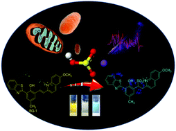 Graphical abstract: ESIPT silent and mitochondrial-targeted rapid response for SO2 regulated by pyridinium and its real-time detection in living cells