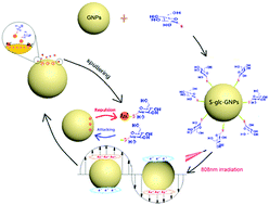 Graphical abstract: The formation and release of aurothioglucose from thioglucose-loaded gold nanoparticles by NIR irradiation: a combined anti-cancer effect of thermotherapy and chemotherapy without the risk of uncontrollable drug burst release and leakage