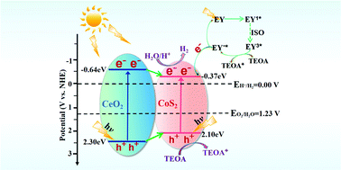 Graphical abstract: Rare earth material CeO2 modified CoS2 nanospheres for efficient photocatalytic hydrogen evolution