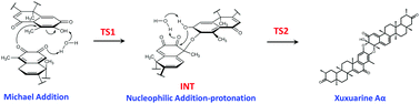 Graphical abstract: Theoretical insight into the on-water catalytic effect in the biogenesis of triterpene dimers: from one-step to two-step hetero Diels–Alder reactions