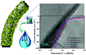 Graphical abstract: Construction of MoO2@MoS2 heterostructures in situ on carbon cloth for the hydrogen evolution reaction