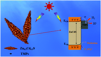Graphical abstract: Transition metal phosphide of nickel and cobalt-modified Zn0.5Cd0.5S for efficient photocatalytic hydrogen evolution with visible light irradiation